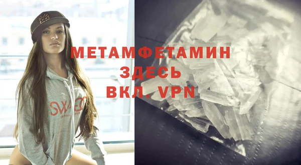прущие грибы Каменногорск