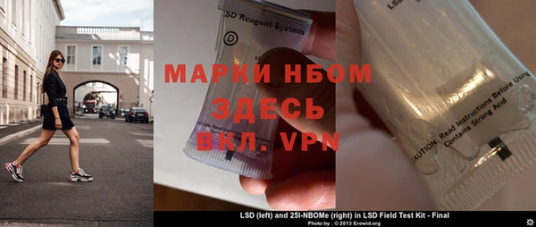прущие грибы Каменногорск