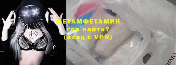прущие грибы Каменногорск