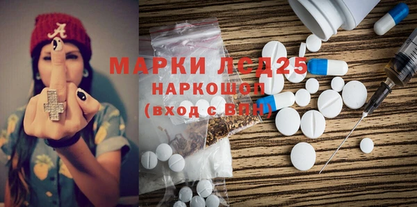 прущие грибы Каменногорск