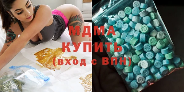 прущие грибы Каменногорск