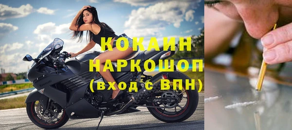 прущие грибы Каменногорск