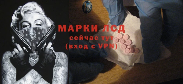 прущие грибы Каменногорск