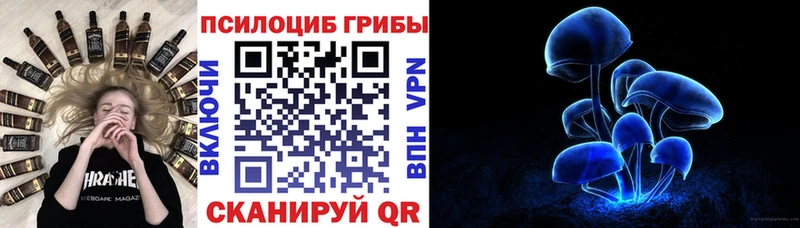 Галлюциногенные грибы Psilocybe  Купить закладки  Вышний Волочёк 